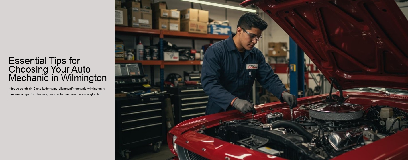 Essential Tips for Choosing Your Auto Mechanic in Wilmington