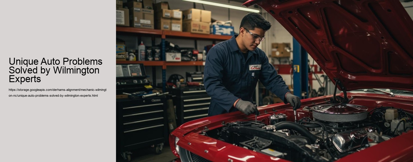 Unique Auto Problems Solved by Wilmington Experts